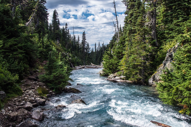 Fotografía de un río