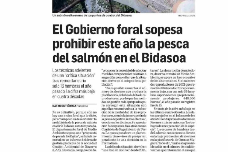 Fotografía del pantallazo de la noticia de la edición impresa en Diario de Navarra