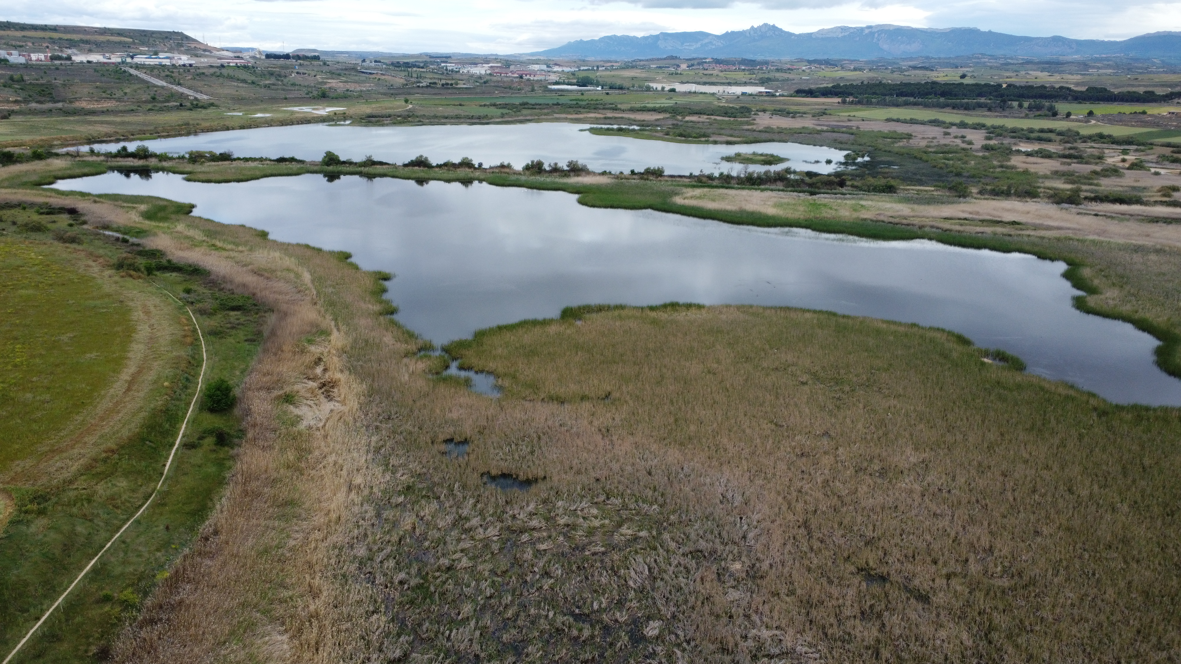 Fotografía panorámica de los humedales