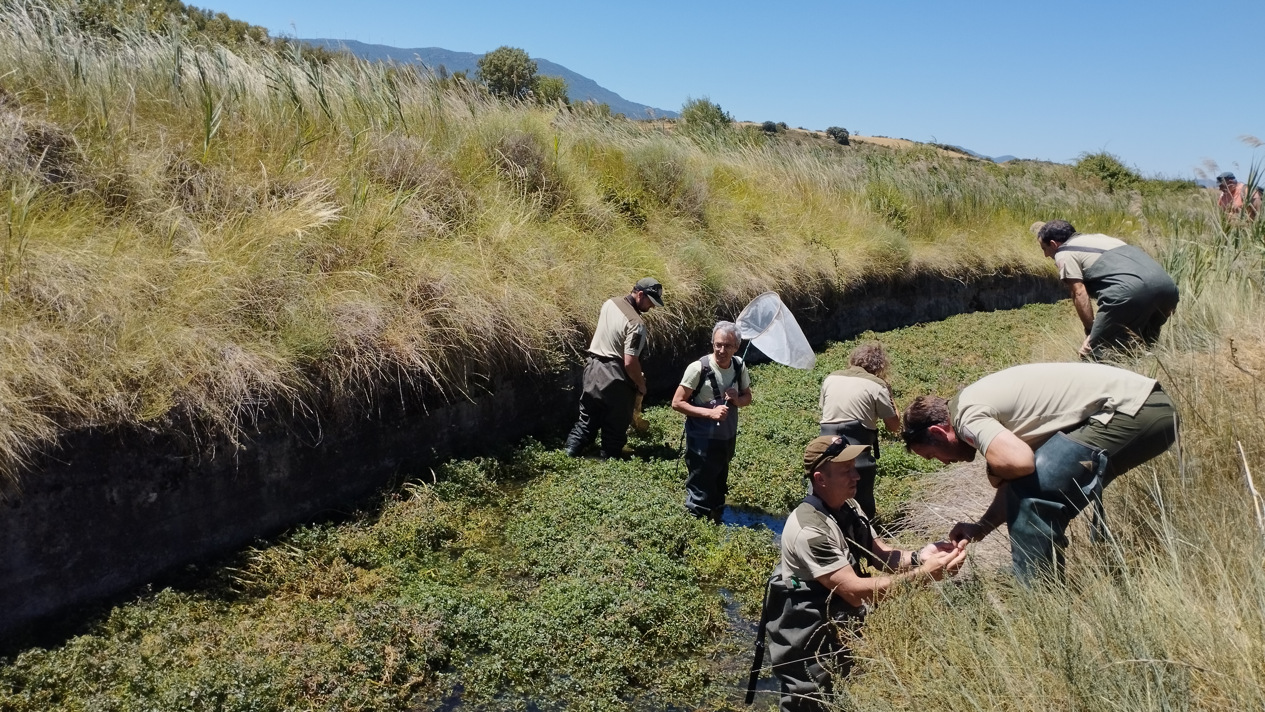 Personas metidas en una acequia 