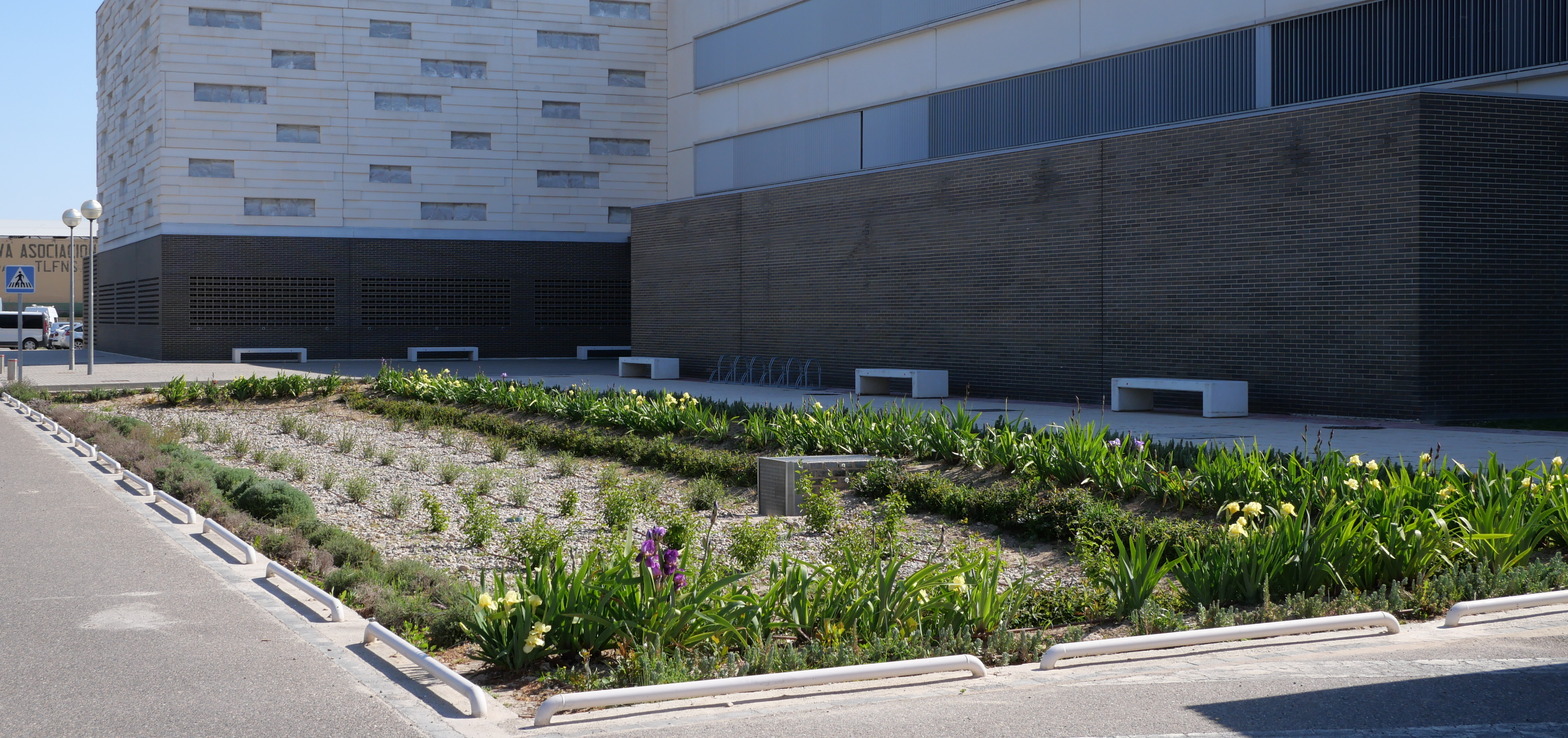 Fotografía exterior donde se ve un edificio y un jardín con plantas