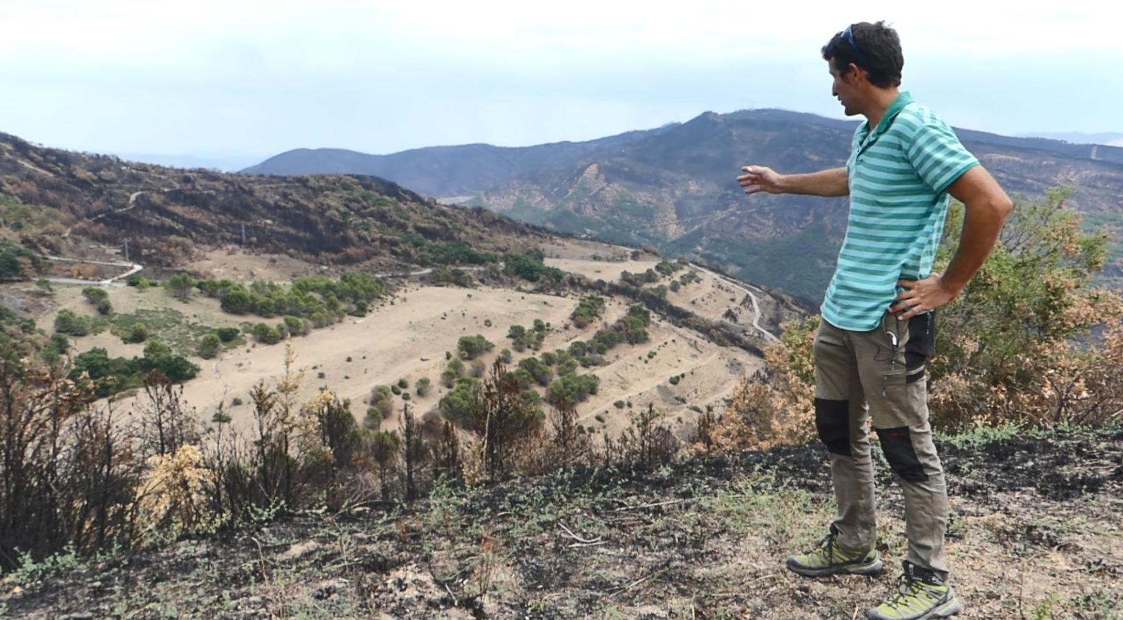 Fotografía de un hombre observando un paisaje quemado.