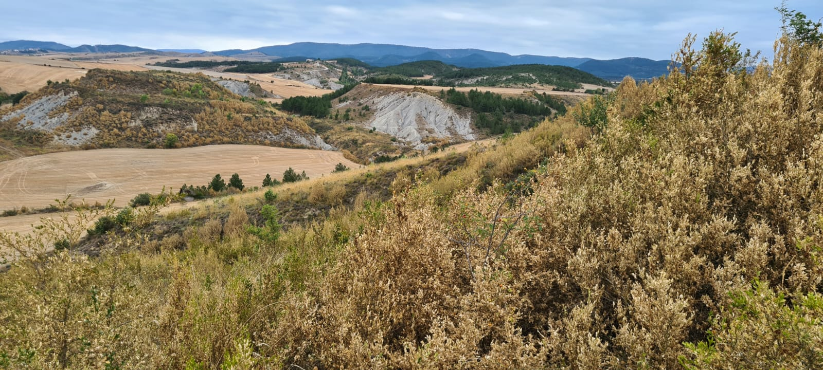 Fotografía de unas montañas y campos de cultivo