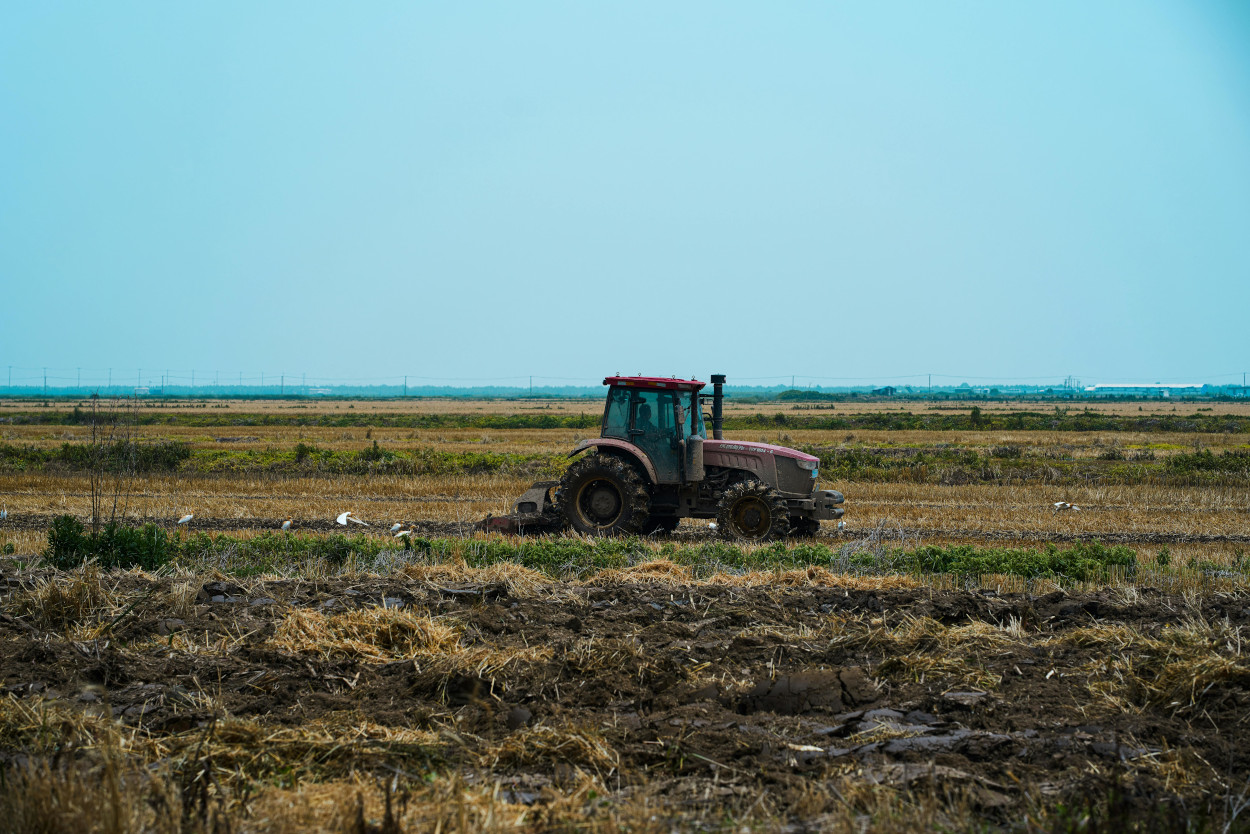 Un tractor laborando