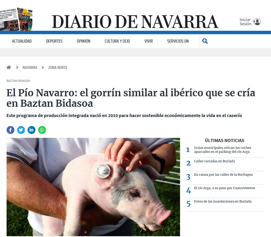 Fotografía del pantallazo de la noticia en la edición online del Diario de Navara.