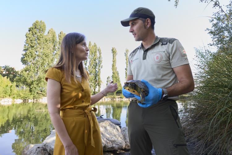 Dos personas hablando, una de ellas con una tortuga en la mano