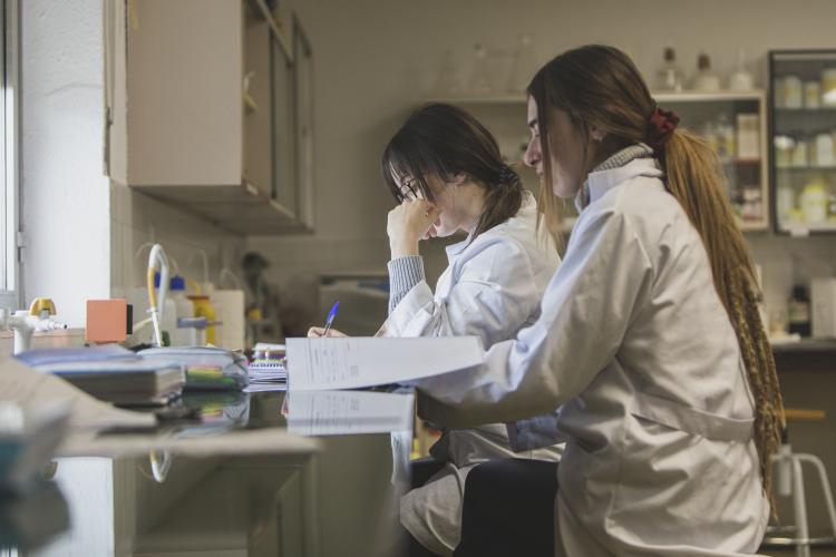 Dos jóvenes trabando en un laboratorio