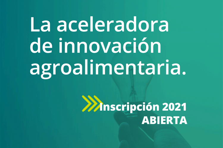 Fotografía del cartel promocional de la convocatoria
