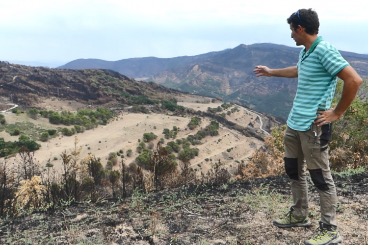 Fotografía de un hombre observando un paisaje quemado.