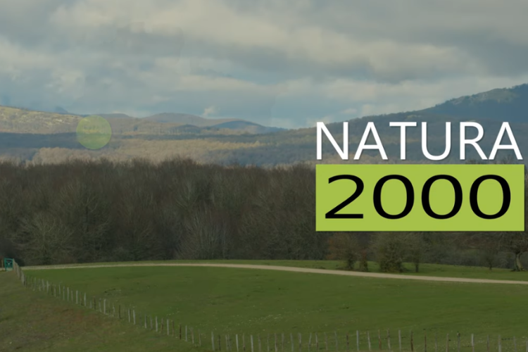 Fotografía de un paisaje donde se ven árboles, montañas y un prado,  y la frase natura 2000