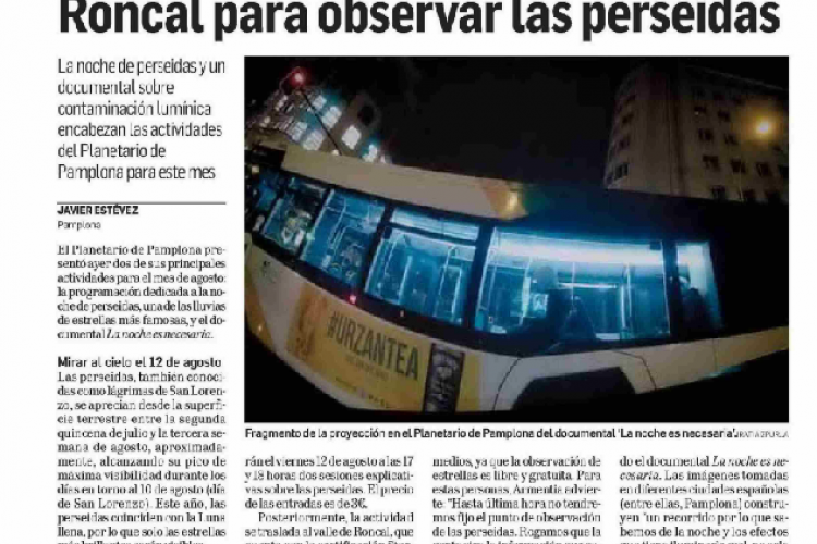 Fotografía del pantallazo de la noticia en la edición impresa del Diario de Navarra