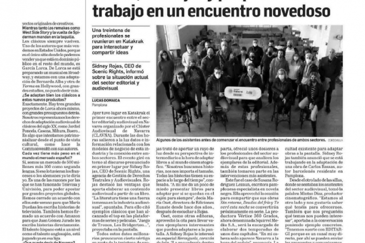 Fotografia del pantallazo en la noticia de la edición impresa del Diario de Navarra