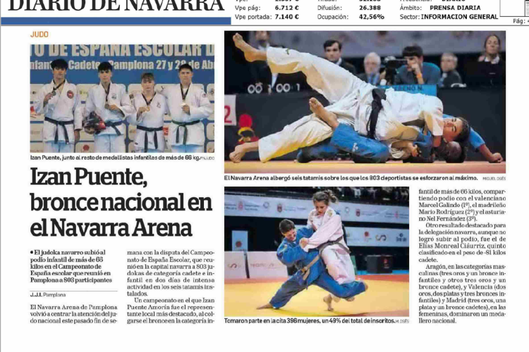Fotografía del pantallazo de la noticia en la edición impresa del Diario de Navarra