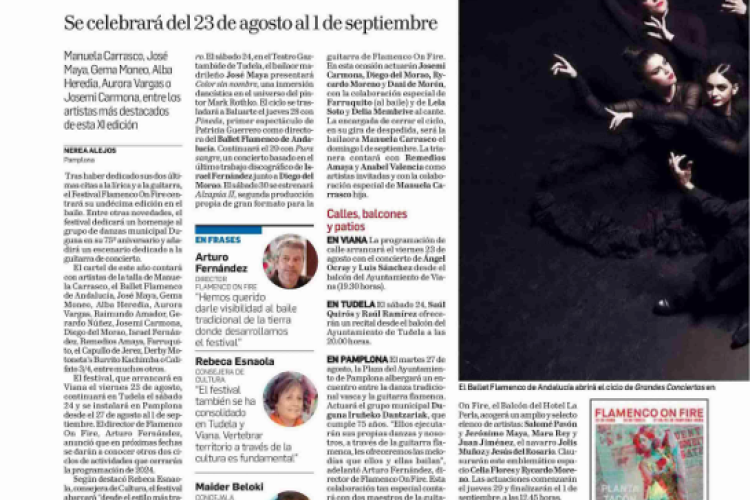 Fotografía del pantallazo de la noticia en la edición impresa del Diario de Navarra