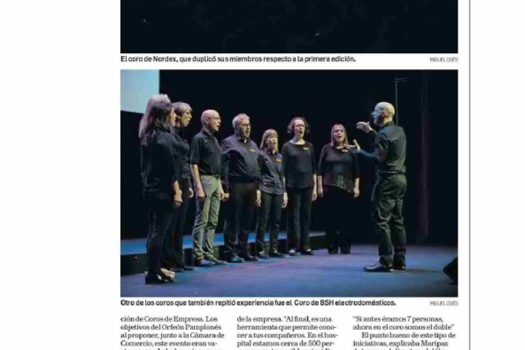 Fotografía del pantallazo de la noticia impresa en Diario de Navarra