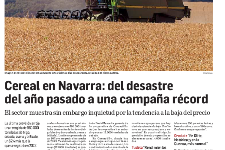 Fotografía del pantallazo de la noticia en la edición impresa del Diario de Navarra