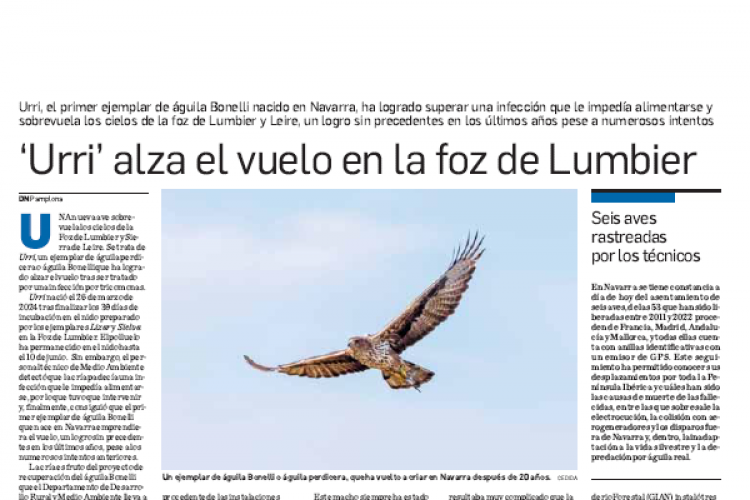 Fotografía del pantallazo de la noticia en la edición impresa del Diario de Navar