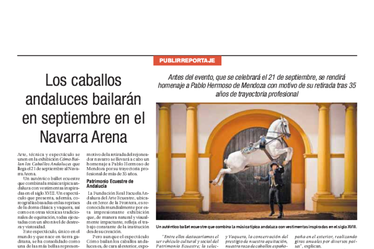 Fotografía del pantallazo de la noticia en la edición impresa de Diario de Navarra