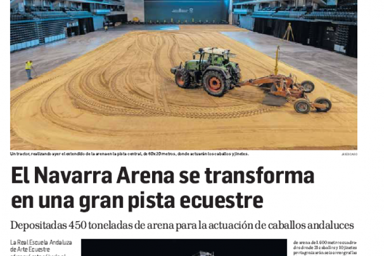 Fotografía del pantallazo de la noticia en la edición impresa del Diario de Navarra