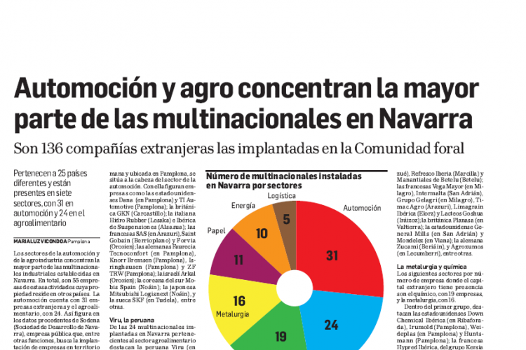 Fotografía del pantallazo de la noticia en la edición impresa de Diario de Navarra