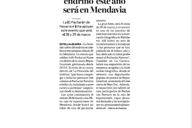 Fotografía del pantallazo de la noticia en la edición impresa del Diario de Noticias 