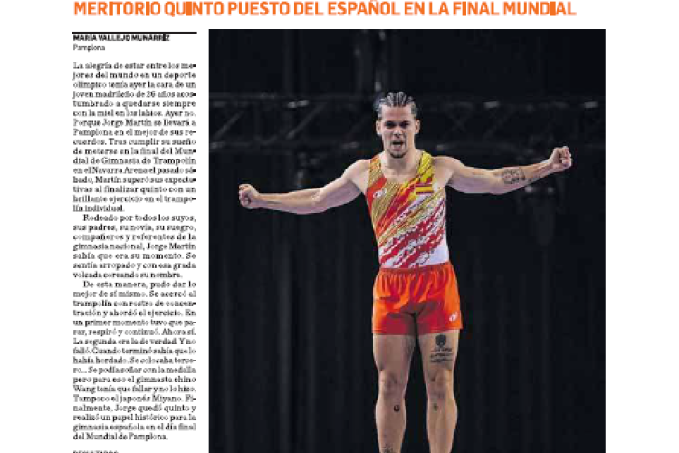 Fotografía del pantallazo de la noticia en la edición impresa de Diario de Navarra