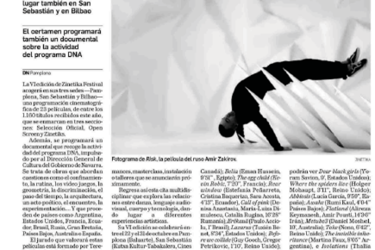 Fotografía del pantallazo de la noticia en la edición impresa del Diario de Navarra