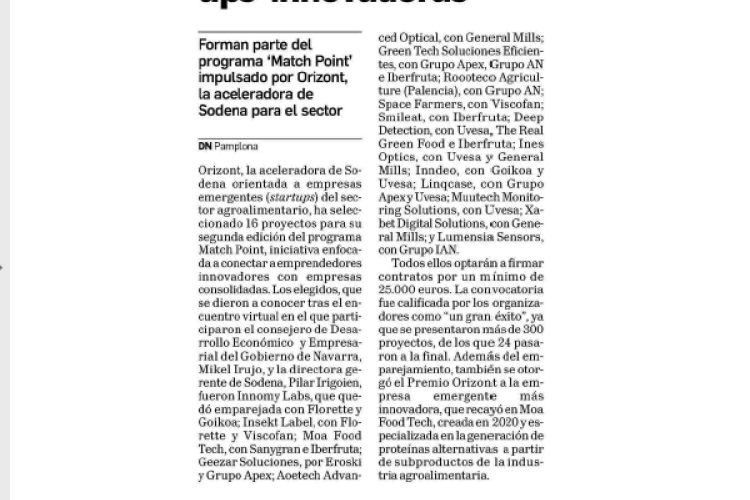 Fotografía del pantallazo de la noticia en la edición impresa del Diario de Navarra