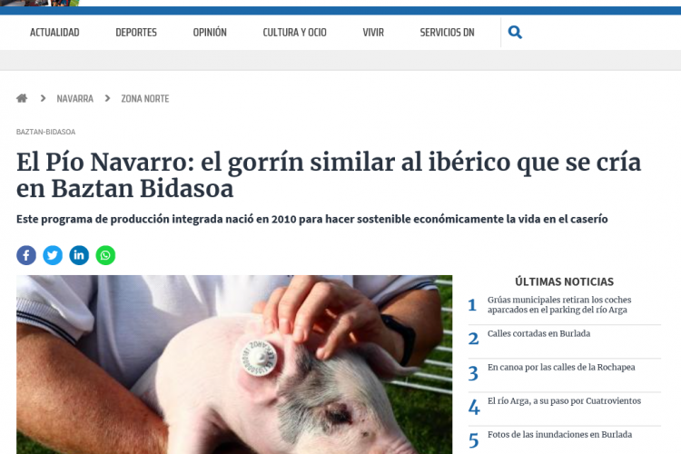 Fotografía del pantallazo de la noticia en la edición online del Diario de Navara.