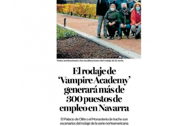 Fotografía del pantallazo de la noticia en la edición impresa del Diario de Noticias. 