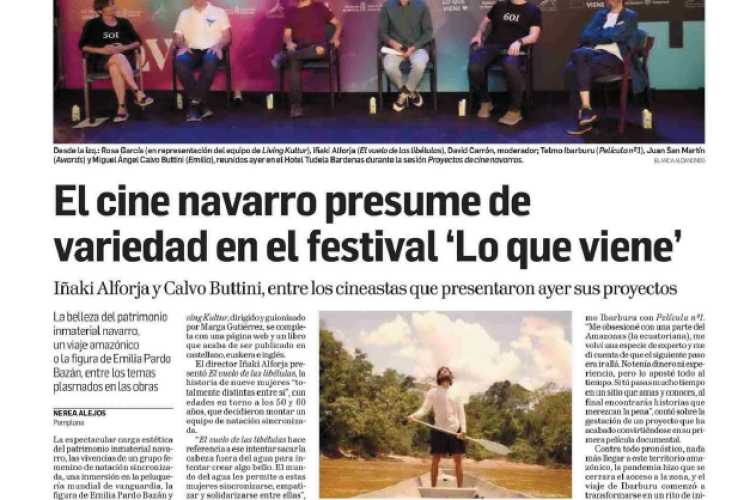 Fotografía del pantallazo de la noticia en la edición impresa del Diario de Navarra