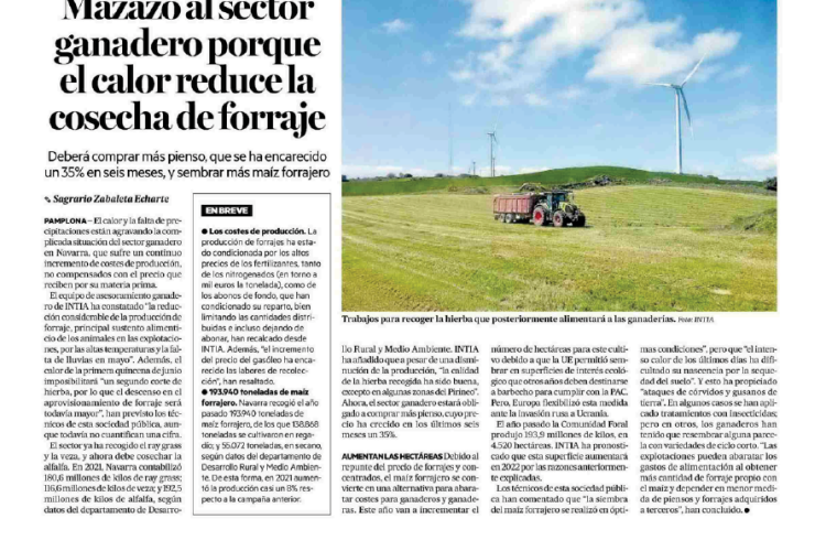 Fotografía del pantallazo de la noticia en la edición impresa del Diario de Noticias 
