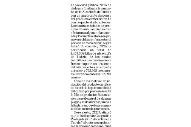 Fotografía del pantallazo de la noticia en la edición impresa del Diario de Navarra