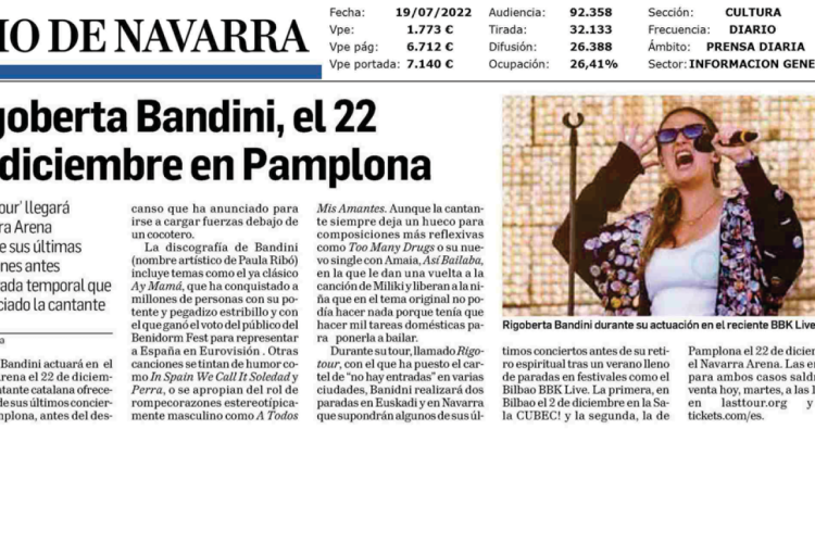 Fotografía del pantallazo de la noticia en la edición impresa del Diario de Navarra