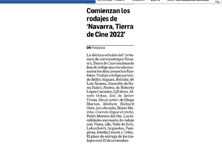 Fotografía del pantallazo de la noticia en la edición impresa del Diario de Navarra
