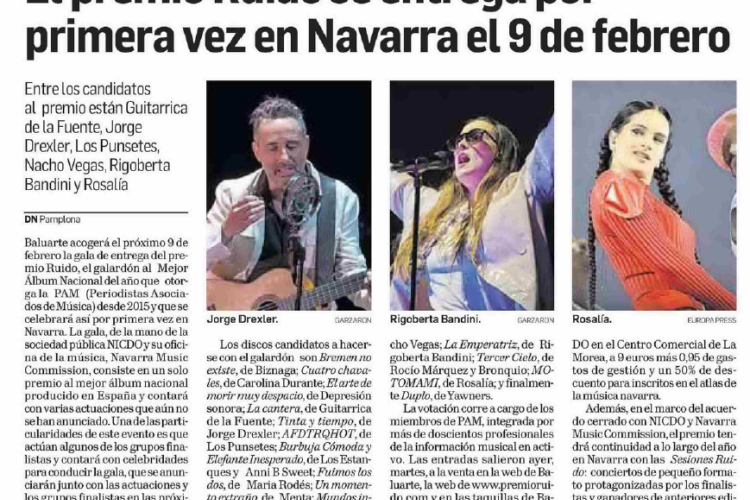Fotografía del pantallazo de la noticia en la edición impresa del Diario de Navarra