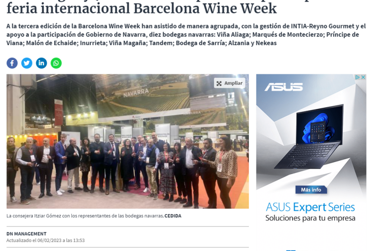Fotografía del pantallazo de la noticia en la edición online del Diario de Navarra