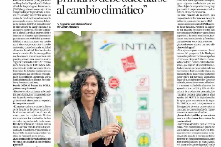 Fotografía del pantallazo de la noticia en la edición impresa del Diario de Noticias 