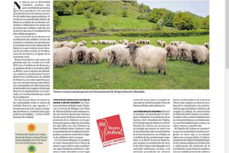 Fotografía del pantallazo de la noticia en la edición impresa de Diario de Noticias