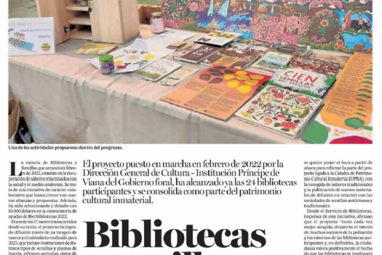 Fotografía del pantallazo de la noticia en la edición impresa del Diario de Noticias 