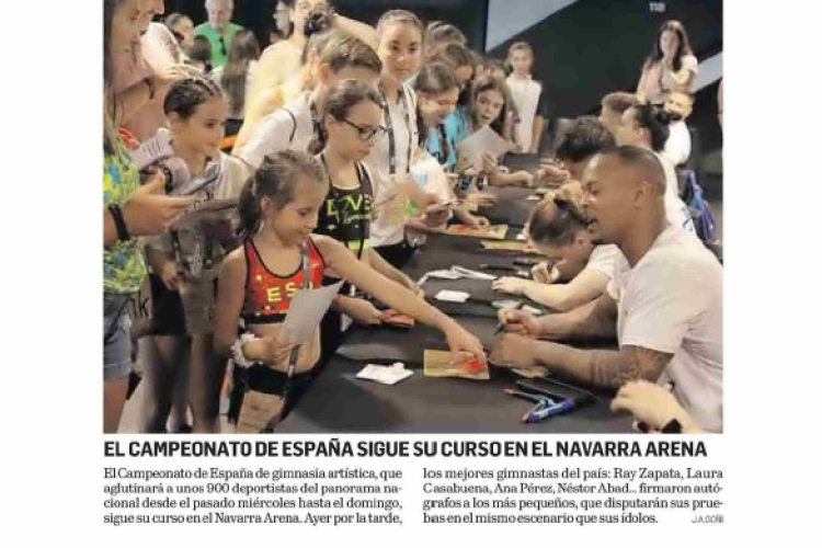 Fotografía del pantallazo de la noticia en la edición impresa de Diario de Navarra