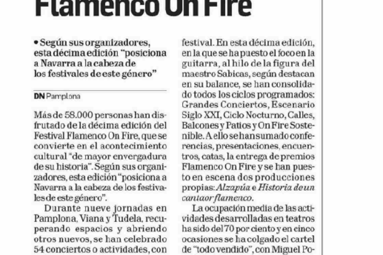 Fotografía del pantallazo de la noticia en la edición impresa de Diario de Navarra