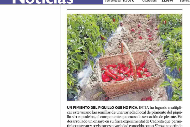 Fotografía del pantallazo de la noticia en la edición impresa de Diario de Noticias