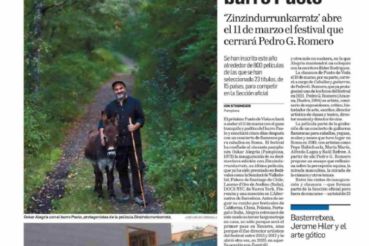 Fotografía del pantallazo de la noticia en la edición impresa del Diario de Navarra