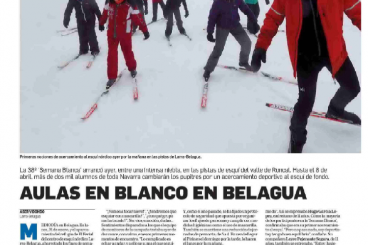 Fotografía del pantallazo de la noticia en la edición impresa del Diario de Navarra