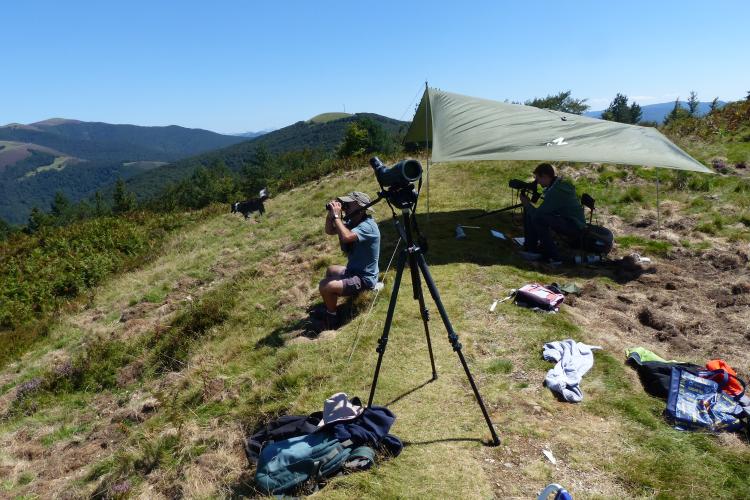 Varias personas en un monte mirando a través de prismaticos