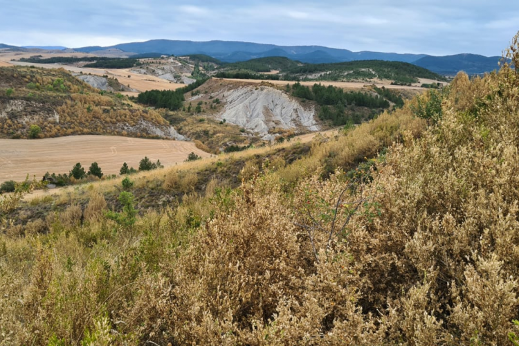 Fotografía de unas montañas y campos de cultivo