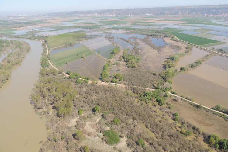 Fotografía del desbordamiento del río Ebro en 2018  